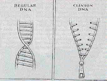 clinton_dna.jpg