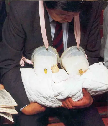 picture31.jpg
